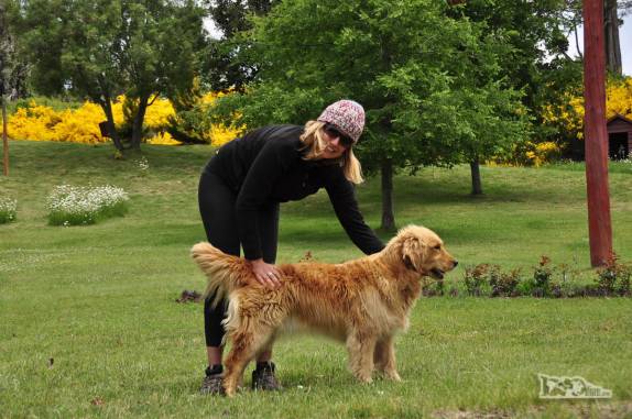 Encontro e brincadeiras com um simpático cão em Villa Traful, no Parque Nacional Nahuel Huapi, na Argentina